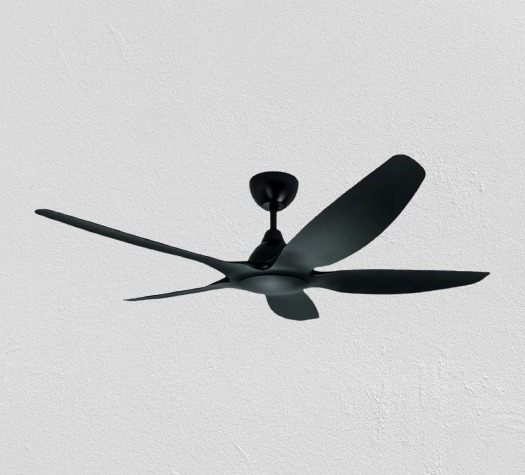 Jackdaw Ceiling Fan