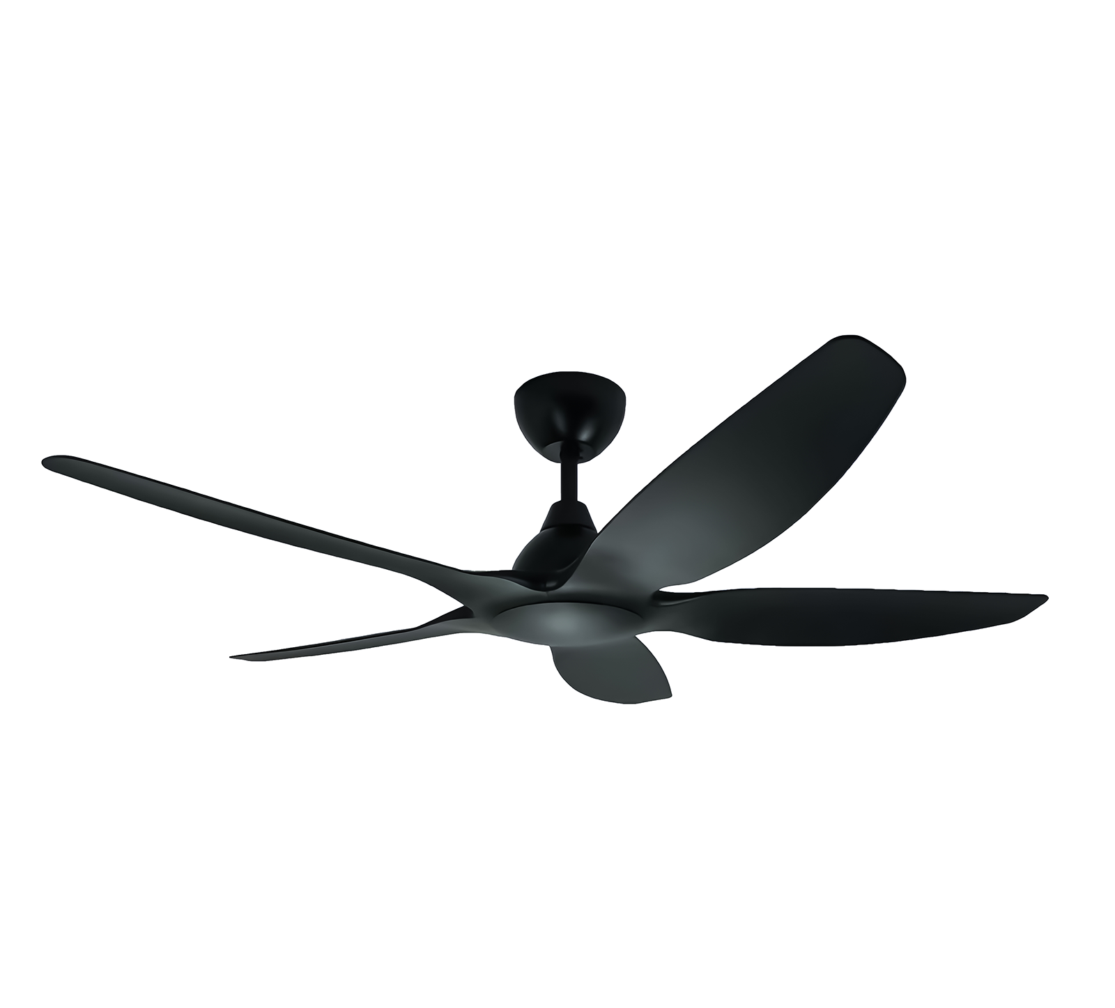 Jackdaw Ceiling Fan