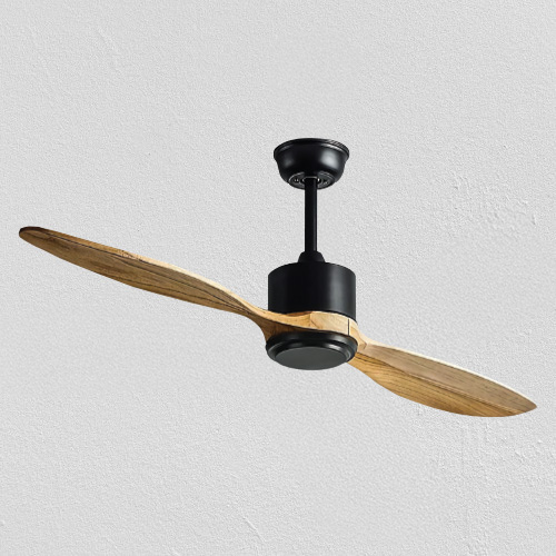 Kinglet Ceiling Fan
