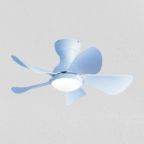 Prinia Ceiling Fan