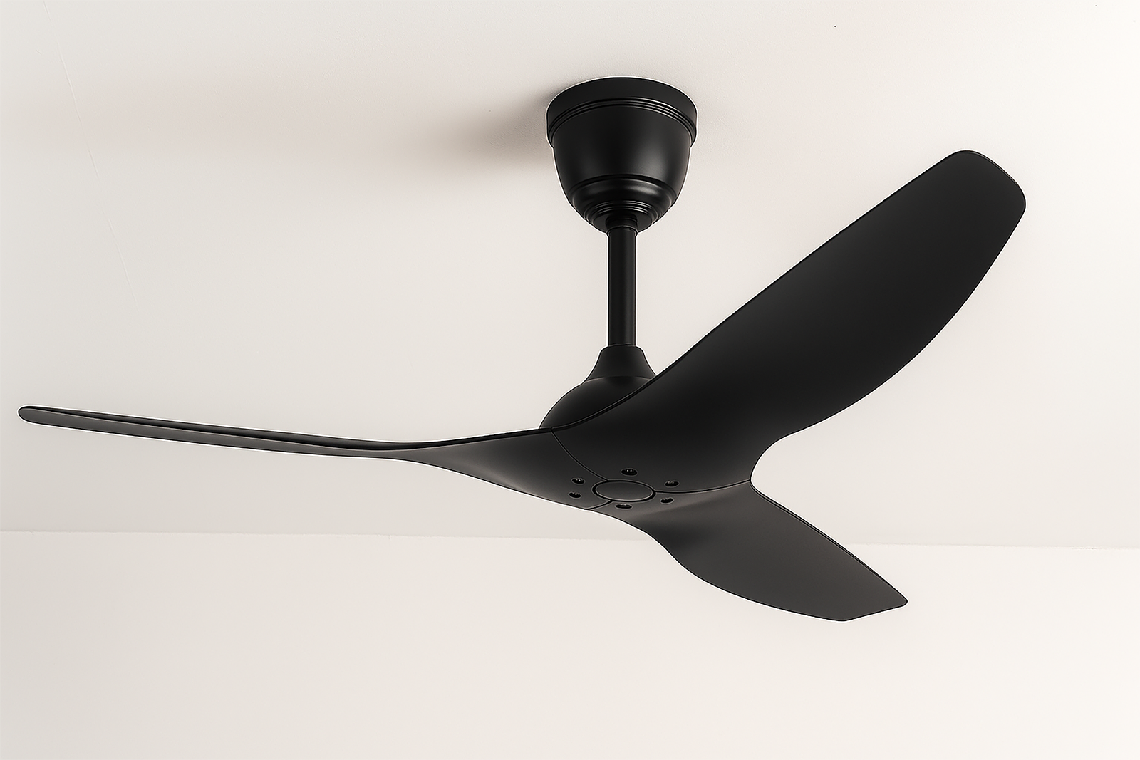 Black Swan Ceiling Fan