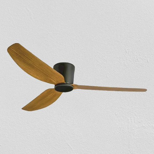 Robin Ceiling Fan