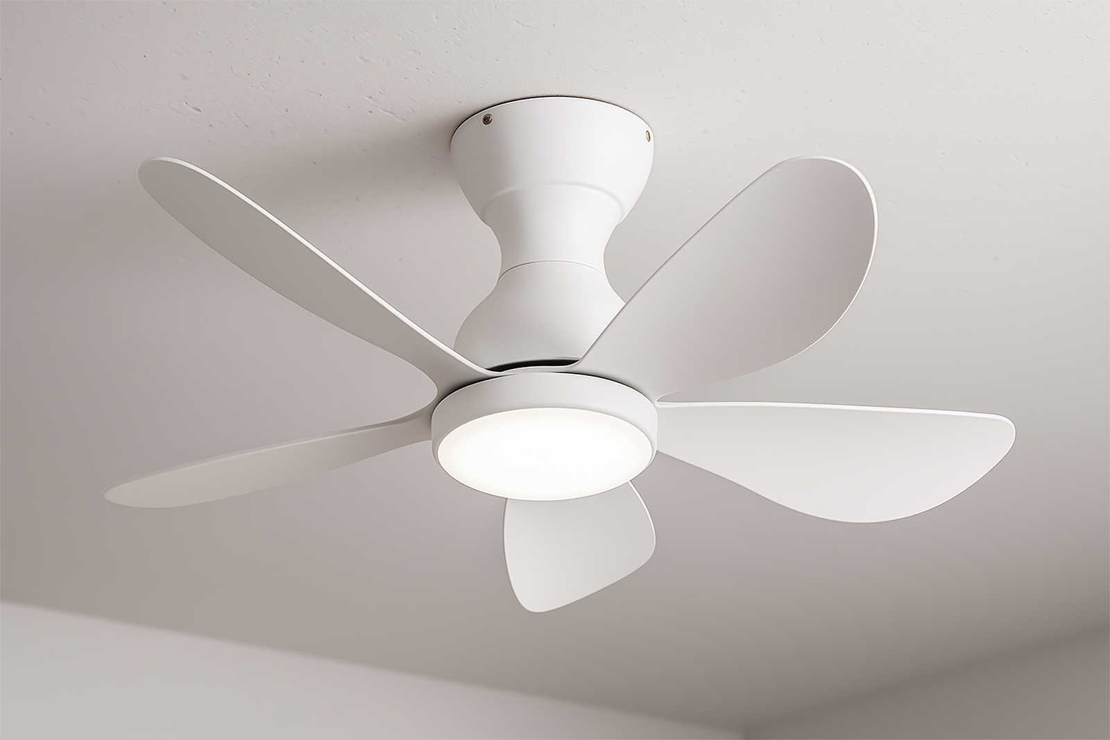 Prinia Ceiling Fan