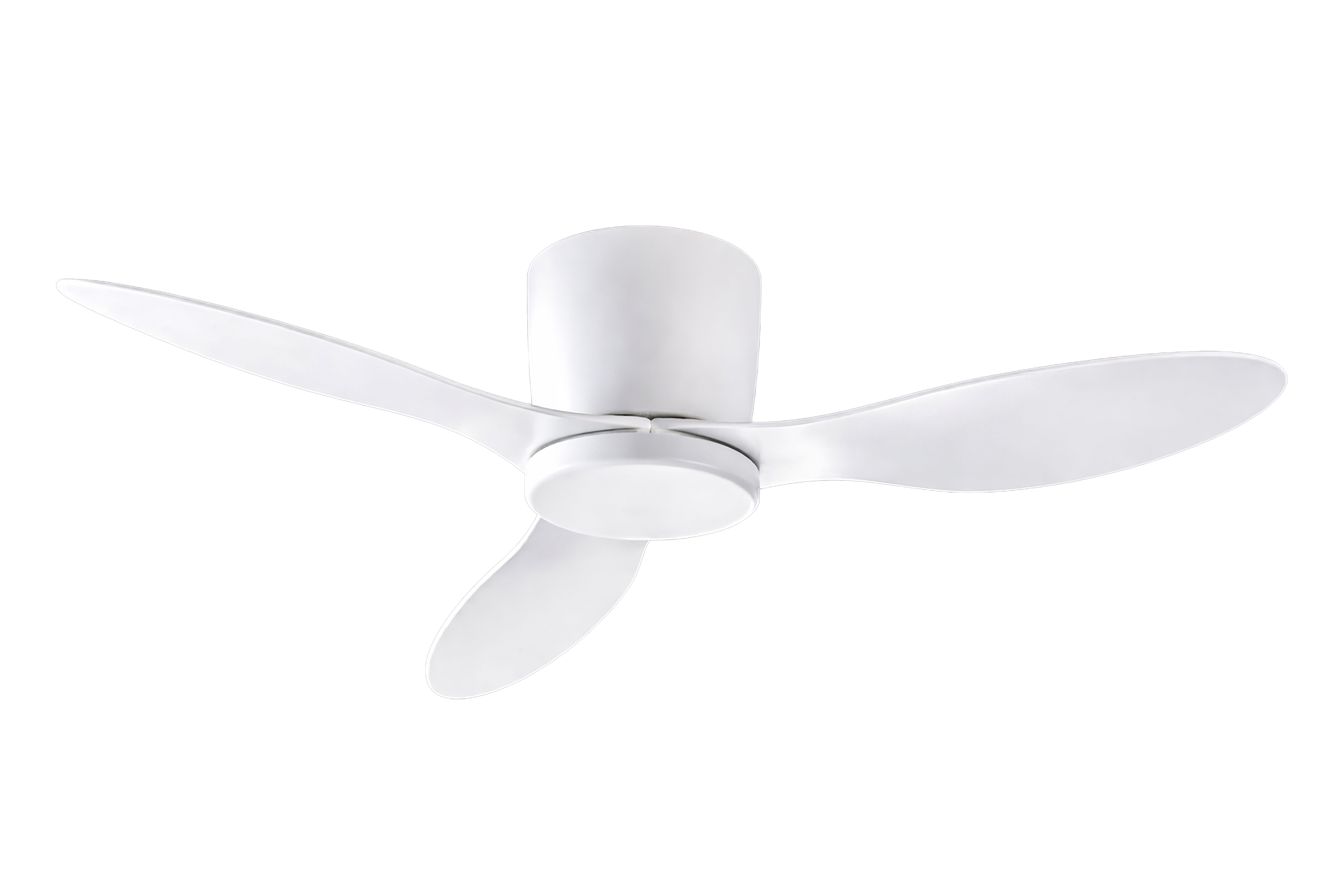 TEAL Ceiling Fan